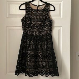 Soprano (Anthropologie) Black and Cream Lace Dress
